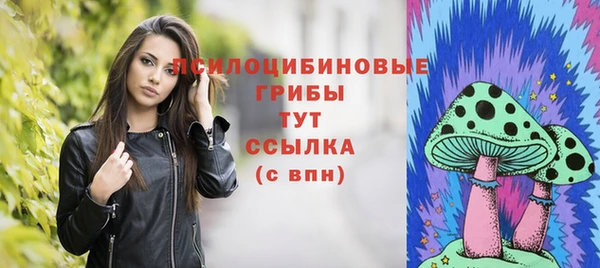 меф Инта