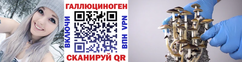 Псилоцибиновые грибы MAGIC MUSHROOMS Купить где Кизляр
