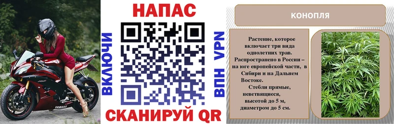 Марихуана MAZAR  Купить закладки  Кизляр 